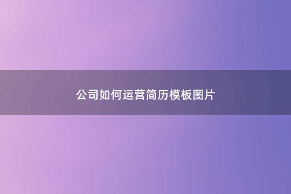 公司如何运营简历模板图片